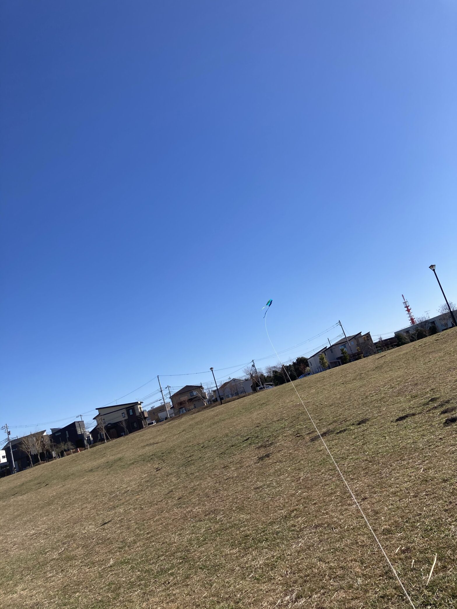 まるで紐をちぎって逃げたがっているかのような