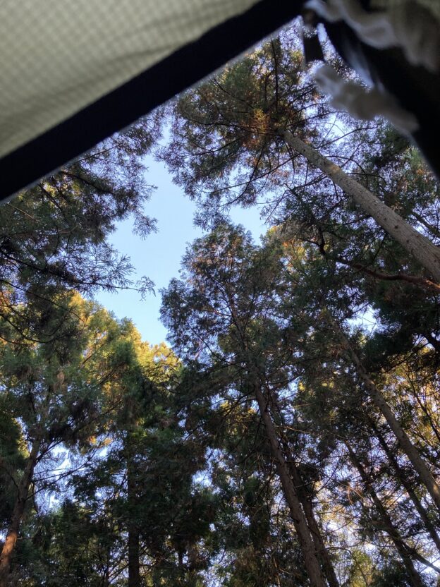 停滞した一週間