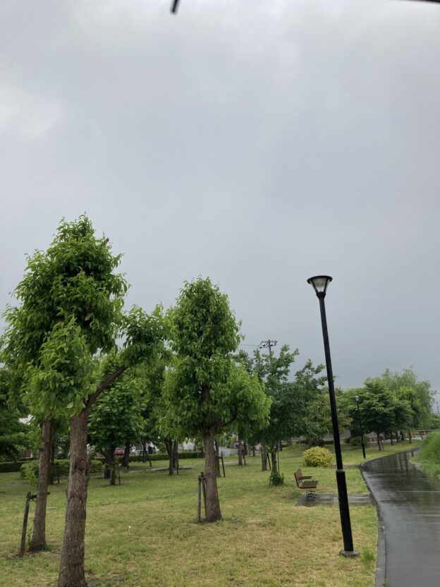 7月10日　成長したいと考えることは、きっと自然なことなんだよ