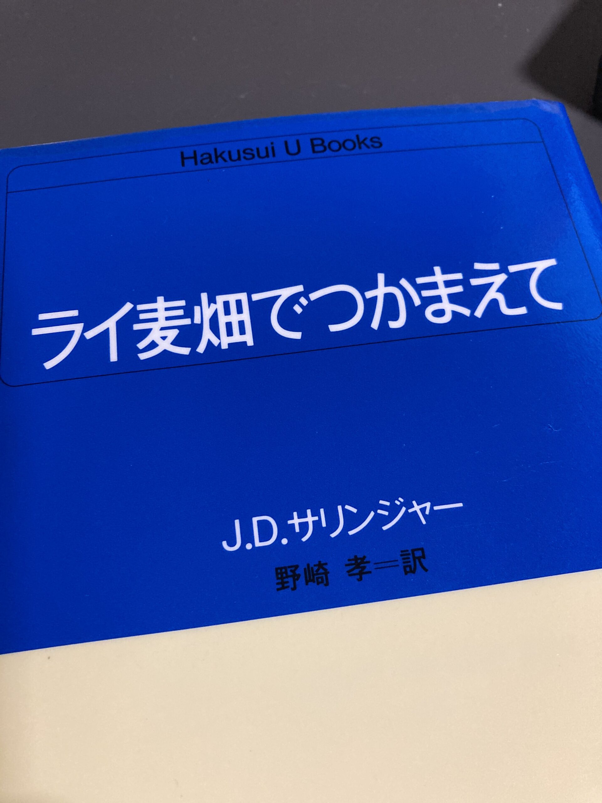 8月8日　読書感想文　ライ麦畑でつかまえて