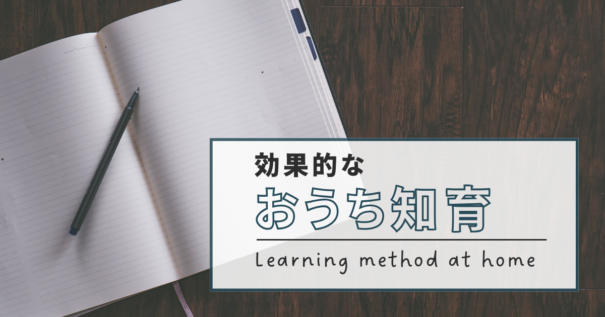 【知的好奇心を刺激】幼児向け学習教材、おすすめテーマ別紹介